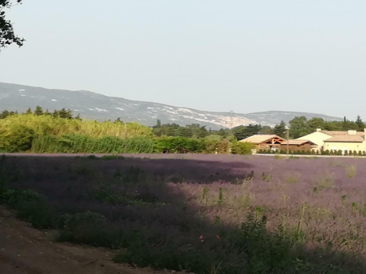 Au Pays Du Ventoux Bed & Breakfast Le Thor Exterior photo