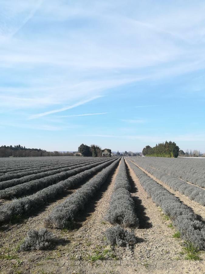 Au Pays Du Ventoux Bed & Breakfast Le Thor Exterior photo